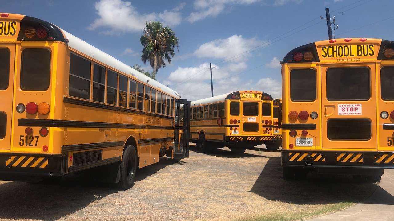 Three School Buses